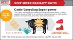 Cattle Upcycling Power