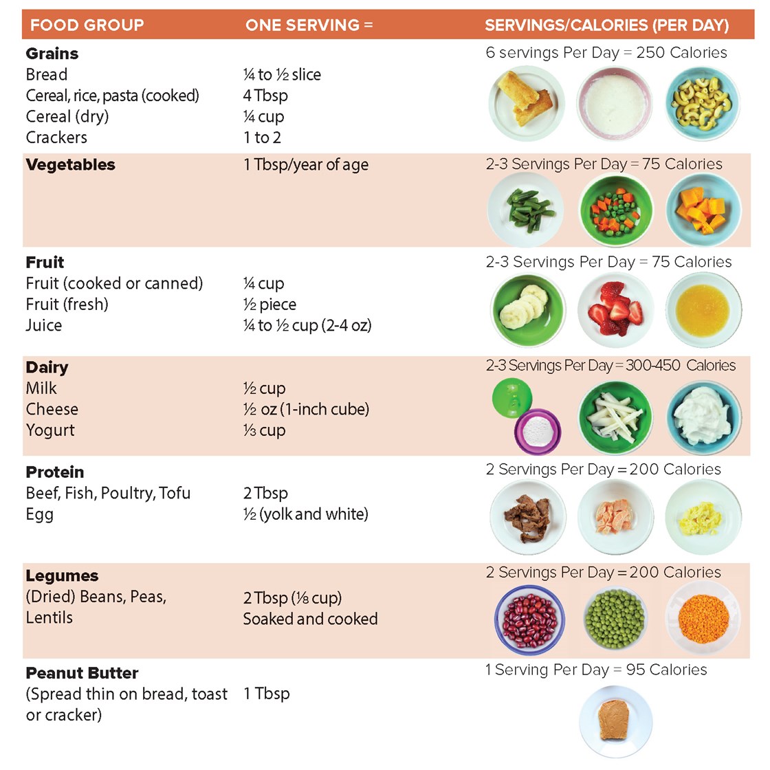 Dietary guidelines & food groups 2-3 years